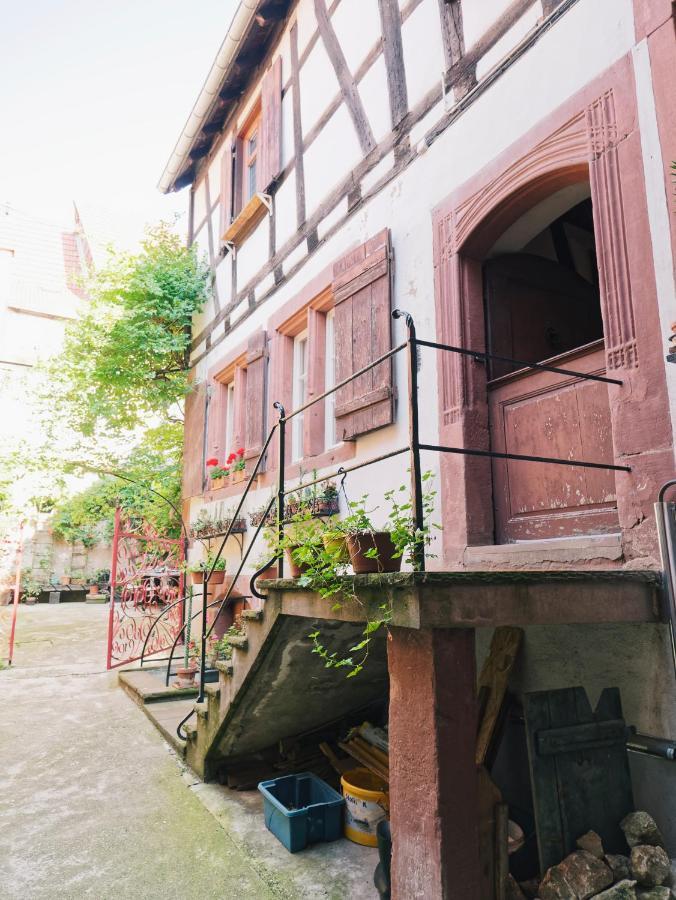 Le Haut Relais Des Seigneurs - 5 Mn Royal Palace De Kirrwiller Bouxwiller  Luaran gambar